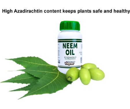 G125 VNEEM8